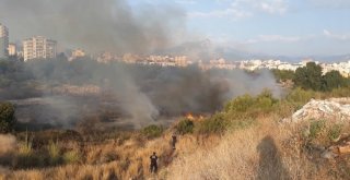 Antalyada Konyaaltı Sahiline Yakın Alanda Orman Yangını