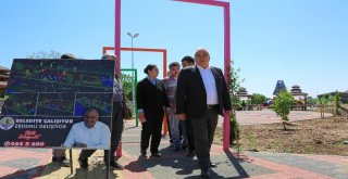 Erdemliye Kır Düğün Salonu