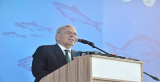 İzmirli Balıkçılar Rastgele Diyecek