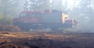 Bursada 2 Orman Yangını Çıktı, Ekipler Anında Müdahale Etti