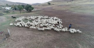 Yayla Sezonunda Sona Gelindi