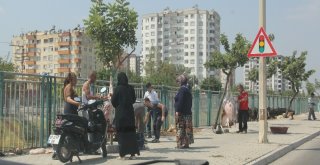 Kurban Fiyatları Düştü