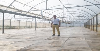 Marmariste Çiftçilere Solarizasyon Uygulamaları Yaptırıldı
