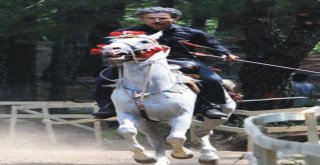 Yüreğir Kaymakamı Fatih Genelin Kitabı: “Az Daha Çoktur” Tükendi