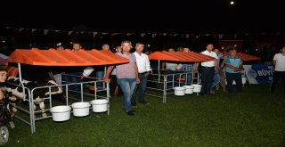 Mersin Büyükşehir Belediyesi Buzağı Barınağı Dağıttı