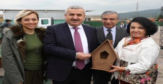 Körfezde Sokak Hayvanları Unutulmadı