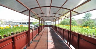 Keçiören Belediyesi İlçe Genelindeki 9 Yaya Üst Geçidini Yeniledi