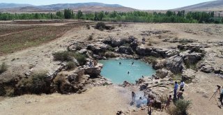 Uyuz Olan Bu Göle Koşuyor