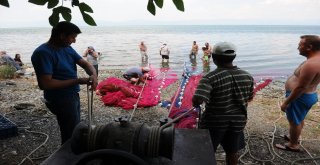 (Özel Haber) Balıkçılar Bu Balığa Av Yasağı Getirilmesini İstiyor
