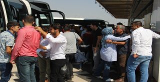 Şanlıurfa Otogarında Bayram Dönüşü Yoğunluğu