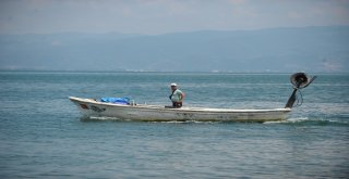 (Özel Haber) Balıkçılar Bu Balığa Av Yasağı Getirilmesini İstiyor