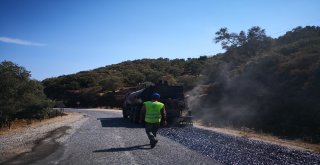 Büyükşehir Avcıların Yolunu Yeniledi