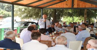 Dağ Yöresinde Hasat Zamanı