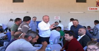Ayvalıkta Hüsnü Baysal Unutulmadı