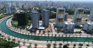 Dört Bir Yanı Sarmaşıklarla Kaplı Türkiyenin Tek Yeşil Apartmanı Adanada
