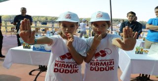 Hatalı Sürücüye Kırmızı Düdük Projesi