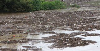 Şiddetli Yağış Sera Gölünü Çöp Ve Çamurla Kapladı