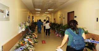 Dünyanın Her Yerinden Şanlıurfaya Çiçek Yağdı