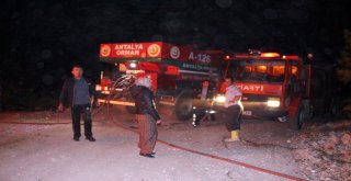 Antalyada Orman Yangını