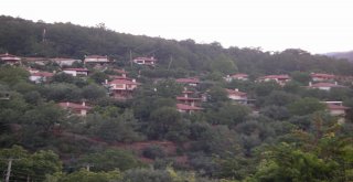 Fatih Portakal Denizi Değil Yeşili Seçti