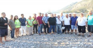 Caretta Carettalar Denizle Buluştu