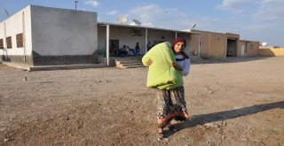 Sıcaklık Bunalttı, Yataklar Damlara Taşındı