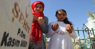 (Özel) Şehidin Yırtık Çoraplarıyla Türkiyeyi Ağlatan Kızları Kandile Türk Bayrağı Dikilmesini İstedi