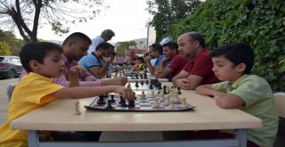 “Sokakta Satranç Var Projesi Muşta Start Aldı