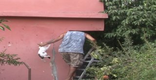 Evin Balkonunda Mahsur Kalan Kediyi Vatandaşlar Kurtardı