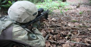 Jöperler İlk Defa Bu Kadar Yakından Görüntülendi