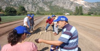Eğirdir Fidanlık Müdürlüğü İle Batı Akdeniz Ormancılık Araştırma Enstitüsünden Ortak Çalışma