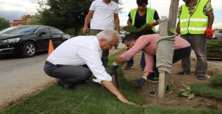 Başsoy: Türkiyenin En Yeşil Şehirlerinden Biri Olma Yolunda İlerliyoruz