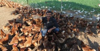 İşçi Olarak Gittiği İsviçreye Bal İhraç Etti