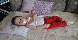 11 Ayılık Minik Elif Kalbindeki 11 Milimetrelik Delikle Yaşamaya Çalışıyor