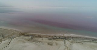 Tuz Gölü Küçülüyor, Flamingolar Gelmiyor