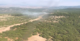 Piknik Yaparken Ormanı Yaktılar