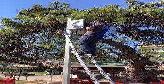 Marmariste Çocuklar Güvende