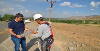 Kuş Ölümleri ‘Kuşkonmaz İle Engelleniyor