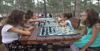 Elazığda Sokakta Santranç Var Etkinliği