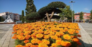 Fatih Cundi Parkı Ve Cundi Sosyal Tesisi Vatandaşların Hizmetine Açıldı