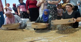 Baskta İlk 10A Giren Mardinli Şef Yerel Tohumu Çoğaltmak İçin Çalışıyor