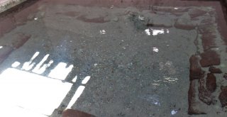 (Özel) Osmanlı Mirası Tarihi Hamam Kaderine Terk Edildi