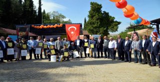 “Geleneksel 5. Kestane Kabağı Festivali