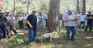 Boluda Trüf Avcılığı Ve Yetiştiriciliği Eğitimi Verildi