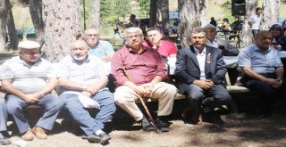 Geleneksel Piknik Etkinliği