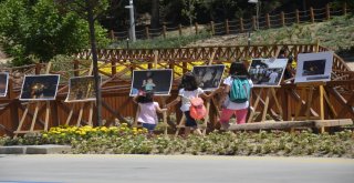 İhadan “15 Temmuz Fotoğraf Sergisi