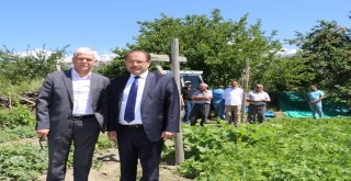 Erzincanda Tarla Günü Düzenlendi