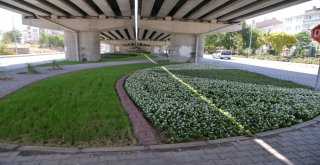 Kırşehir, Park Ve Bahçeler Müdürlüğü Çalışmaları İle Yeşilleniyor