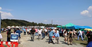 Trabzonlular, Yayla Şenliğinde Doyasıya Eğlendiler