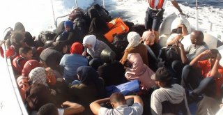 İzmirde 85 Düzensiz Göçmen Yakalandı